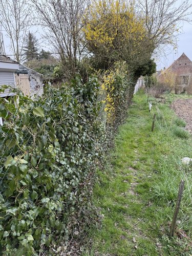 Maison a vendre Quiévy 59214 Nord 58 m2 3 pièces 16440 euros