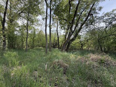 Terrains de loisirs bois etangs a vendre Daours 80800 Somme 7080 m2  28000 euros