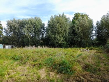 Terrain a batir a vendre Festubert 62149 Pas-de-Calais 1535 m2  116000 euros