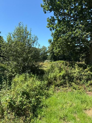 Terrains de loisirs bois etangs a vendre Martinvast 50690 Manche 7346 m2  19080 euros