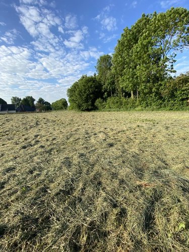 Terrain a batir a vendre Penin 62127 Pas-de-Calais 2474 m2  73960 euros