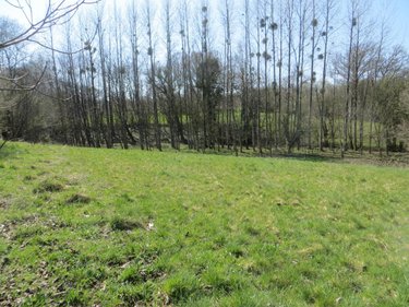 Maison a vendre Mesnil-Clinchamps 14380 Calvados 200 m2 7 pièces 263700 euros