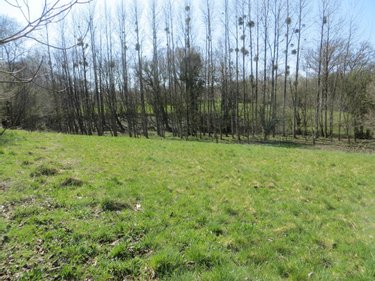 Maison a vendre Mesnil-Clinchamps 14380 Calvados 200 m2 7 pièces 263700 euros