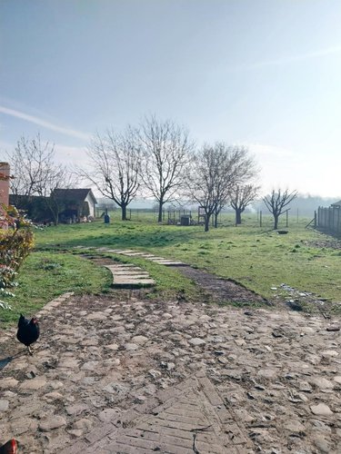 Terrain a batir a vendre Capelle-Fermont 62690 Pas-de-Calais 961 m2  114000 euros