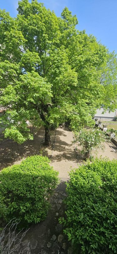 Maison a vendre Anduze 30140 Gard 130 m2 7 pièces 375000 euros