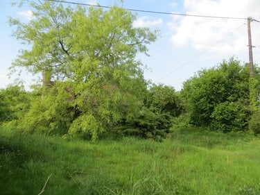 Maison a vendre Le Gast 14380 Calvados 76 m2 4 pièces 56700 euros