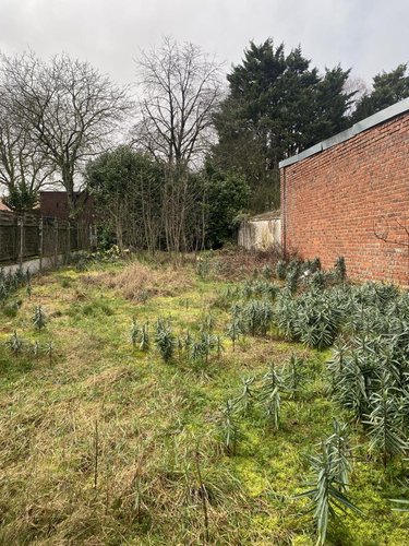 Maison a vendre Gouzeaucourt 59231 Nord 161 m2 6 pièces 94800 euros