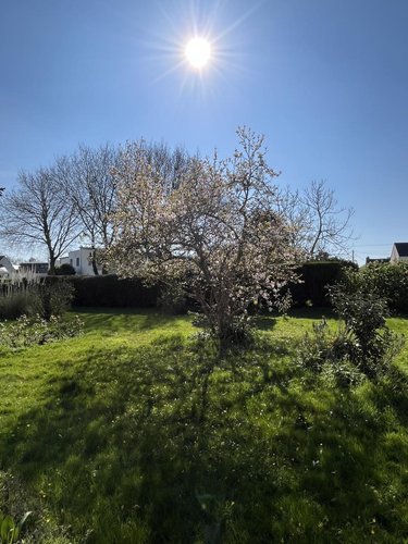 Maison a vendre Pleuven 29170 Finistère 120 m2 3 pièces 292600 euros