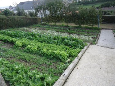 Terrain a batir a vendre Cherbourg-en-Cotentin 50100 Manche 269 m2  53735 euros