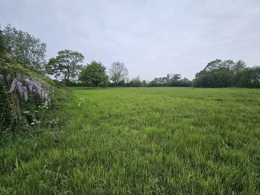 Terrains de loisirs bois etangs a vendre Oudezeele 59670 Nord 14373 m2  46000 euros