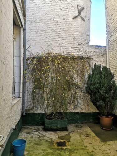 Maison a vendre Cambrai 59400 Nord 91 m2 3 pièces 93500 euros