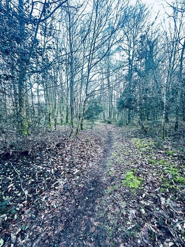 Terrains de loisirs bois etangs a vendre Arzano 29300 Finistère 131500 m2  58600 euros