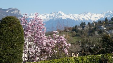 Maison a vendre Barberaz 73000 Savoie 135 m2 7 pièces 698000 euros