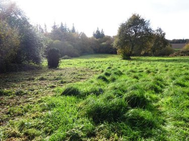 Maison a vendre Langoëlan 56160 Morbihan 160 m2 9 pièces 272950 euros