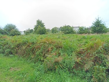 Terrains de loisirs bois etangs a vendre Cléguérec 56480 Morbihan 5229 m2  9700 euros