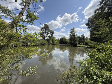 Terrains de loisirs bois etangs a vendre Méricourt-l'Abbé 80800 Somme 13655 m2  164800 euros