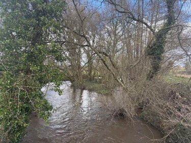 Terrains de loisirs bois etangs a vendre Cuves 50670 Manche 4900 m2  5300 euros