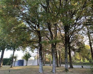 Maison a vendre Saint-Clément-de-la-Place 49370 Maine-et-Loire 151 m2 6 pièces 394460 euros