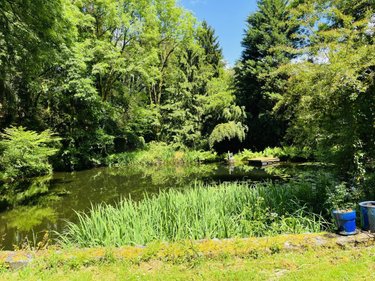 Maison a vendre Quistinic 56310 Morbihan 115 m2 5 pièces 270800 euros