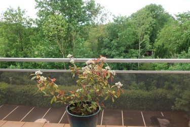 Appartement a vendre Bourges 18000 Cher 85 m2 3 pièces 118000 euros