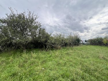 Terrains de loisirs bois etangs a vendre Lunay 41360 Loir-et-Cher 2855 m2  11800 euros