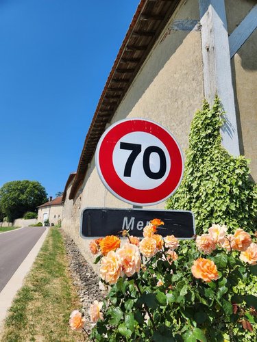Maison a vendre Méry-Prémecy 51390 Marne 536 m2 14 pièces 1800000 euros
