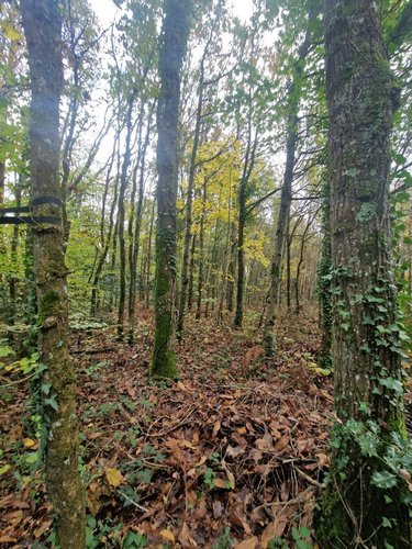 Maison a vendre Pontivy 56300 Morbihan 51 m2 3 pièces 99860 euros