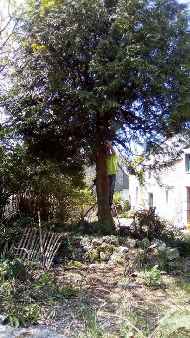 Maison a vendre Plumelec 56420 Morbihan 156 m2 5 pièces 308275 euros