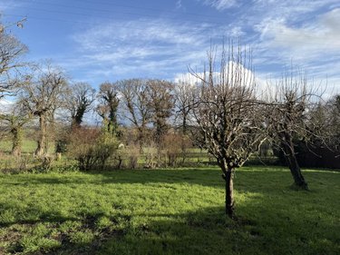 Maison a vendre Saint-Thélo 22460 Côtes-d'Armor 148 m2 5 pièces 146480 euros