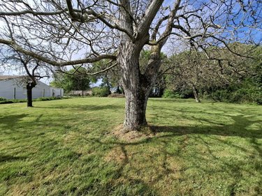 Maison a vendre Arvert 17530 Charente-Maritime 141 m2 4 pièces 314760 euros