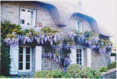 Maison a vendre Brech 56400 Morbihan 150 m2  536975 euros