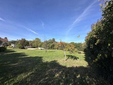 Terrain a batir a vendre Restinclières 34160 Hérault 439 m2  241400 euros