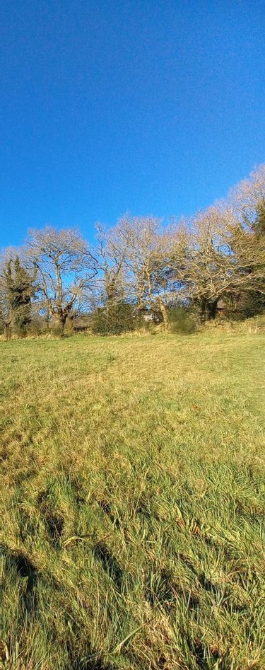 Terrain a batir a vendre Brandivy 56390 Morbihan 1712 m2  115390 euros