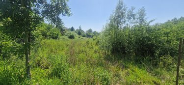 Maison a vendre Fromelles 59249 Nord 100 m2  194550 euros