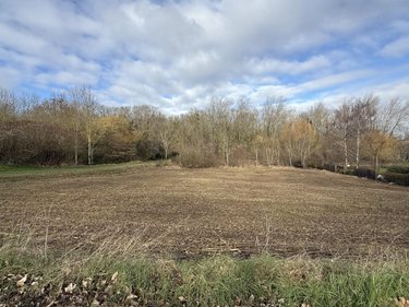 Terrain a batir a vendre Rosnay 51390 Marne 1008 m2  155000 euros