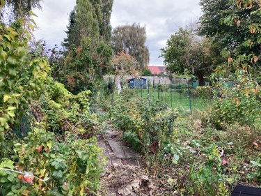 Maison a vendre Douvrin 62138 Pas-de-Calais 70 m2  86000 euros