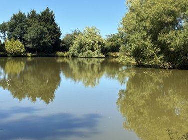 Terrains de loisirs bois etangs a vendre La Bazouge-des-Alleux 53470 Mayenne 45728 m2  120500 euros