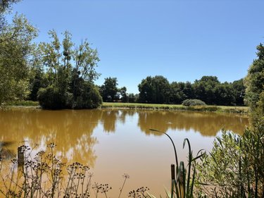Terrains de loisirs bois etangs a vendre La Bazouge-des-Alleux 53470 Mayenne 45728 m2  120500 euros