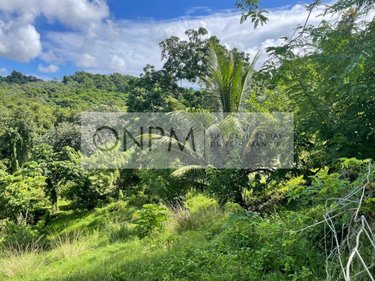 Terrain a batir a vendre Ducos 97224 Martinique 1405 m2  170000 euros