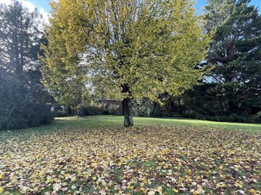 Maison a vendre Le Mans 72000 Sarthe 200 m2 7 pièces 680000 euros