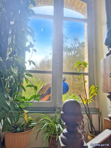 Maison a vendre Rohan 56580 Morbihan 338 m2 14 pièces 602080 euros