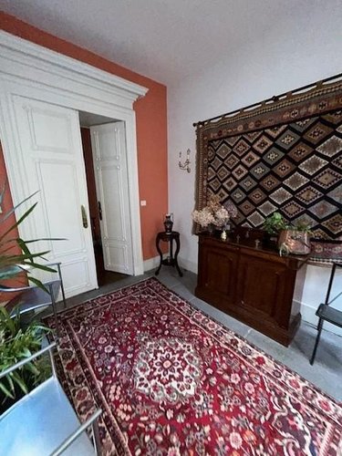 Viager maison Riom 63200 Puy-de-Dôme 320 m2 14 pièces 477750 euros