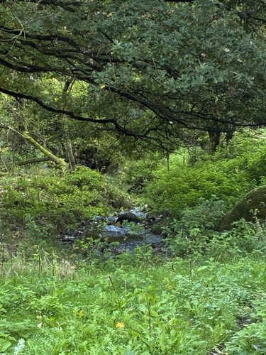 Maison a vendre Salmiech 12120 Aveyron 95 m2 6 pièces 84500 euros