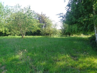 Maison a vendre Gonnehem 62920 Pas-de-Calais 115 m2 5 pièces 353500 euros