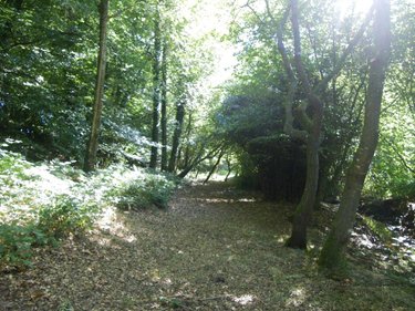 Maison a vendre Silfiac 56480 Morbihan 227 m2  471510 euros