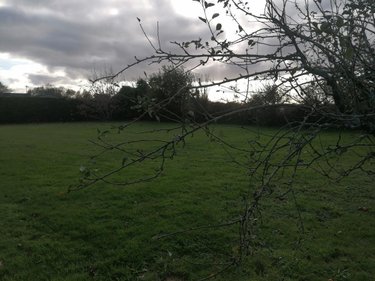 Maison a vendre Taulé 29670 Finistère 162 m2 6 pièces 281340 euros