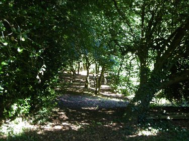 Maison a vendre Silfiac 56480 Morbihan 227 m2  471510 euros