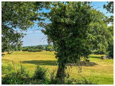 Maison a vendre Avrillé 49240 Maine-et-Loire 172 m2 6 pièces 640990 euros