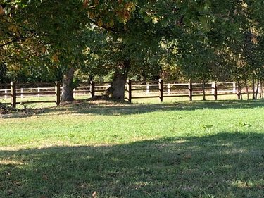 Maison a vendre Rives-d'Andaine 61140 Orne 570 m2 11 pièces 4300000 euros