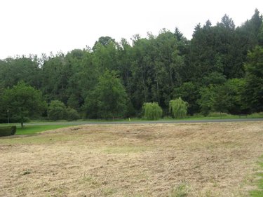 Terrain a batir a vendre Ambrières-les-Vallées 53300 Mayenne 1970 m2  41500 euros